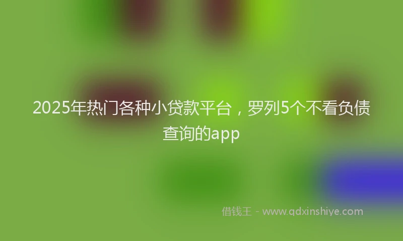 2025年热门各种小贷款平台，罗列5个不看负债查询的app