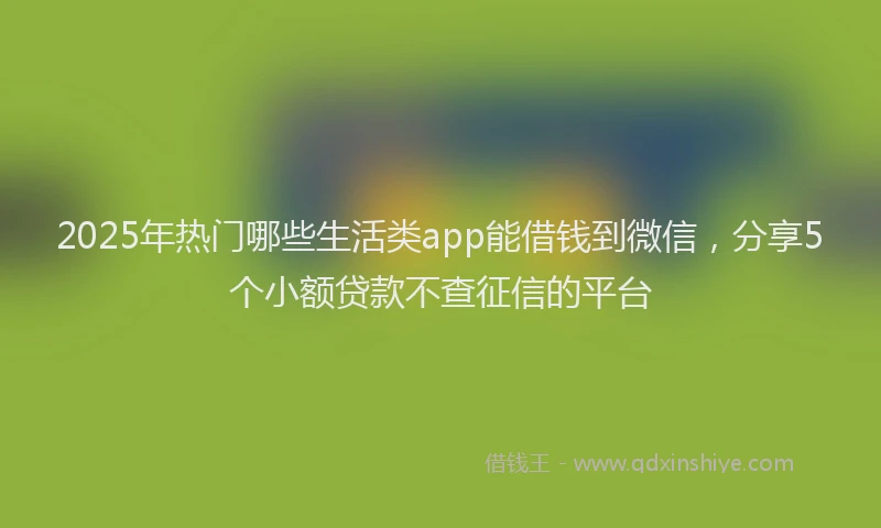 2025年热门哪些生活类app能借钱到微信，分享5个小额贷款不查征信的平台