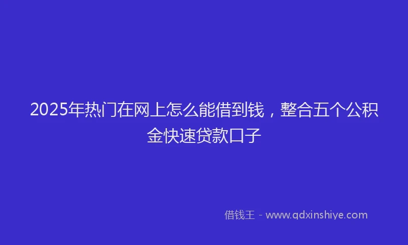 2025年热门在网上怎么能借到钱，整合五个公积金快速贷款口子