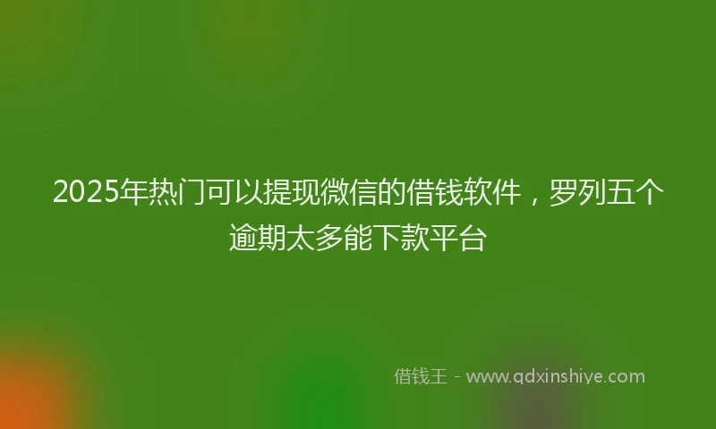 2025年热门可以提现微信的借钱软件，罗列五个逾期太多能下款平台