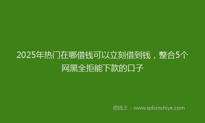2025年热门在哪借钱可以立刻借到钱，整合5个网黑全拒能下款的口子