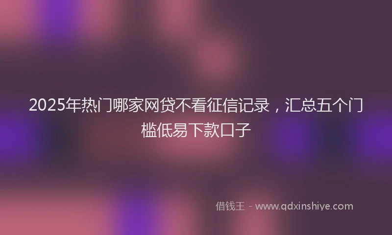 2025年热门哪家网贷不看征信记录，汇总五个门槛低易下款口子