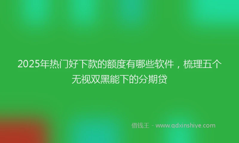 2025年热门好下款的额度有哪些软件，梳理五个无视双黑能下的分期贷