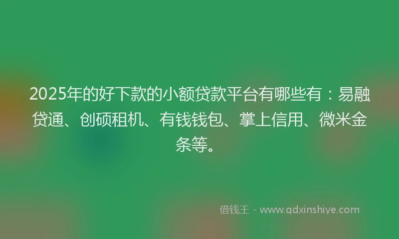 2025年的好下款的小额贷款平台有哪些有：易融贷通、创硕租机、有钱钱包、掌上信用、微米金条等。