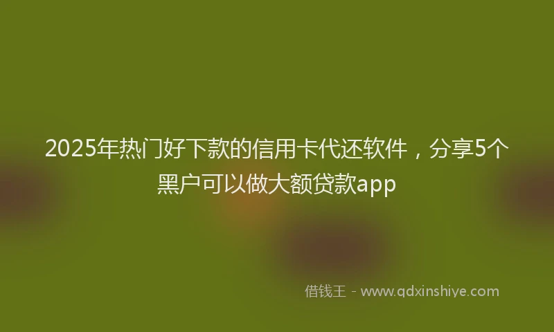 2025年热门好下款的信用卡代还软件，分享5个黑户可以做大额贷款app