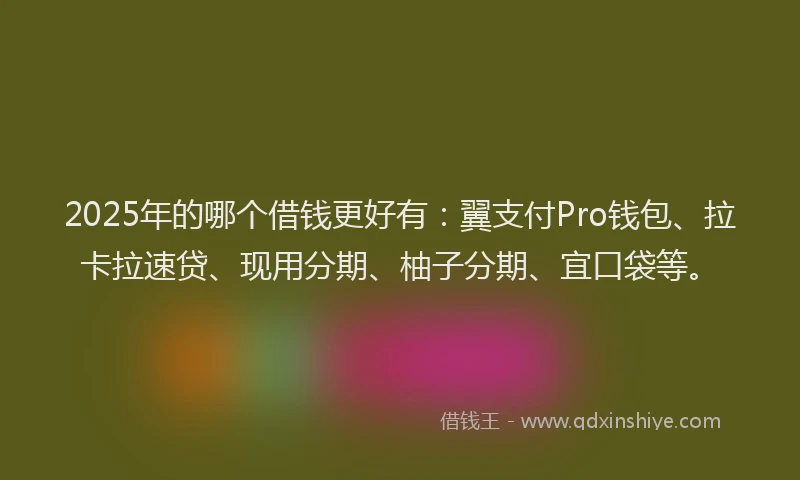 2025年的哪个借钱更好有：翼支付Pro钱包、拉卡拉速贷、现用分期、柚子分期、宜口袋等。