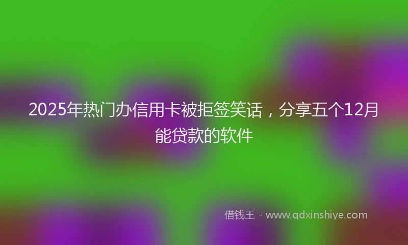 2025年热门办信用卡被拒签笑话，分享五个12月能贷款的软件