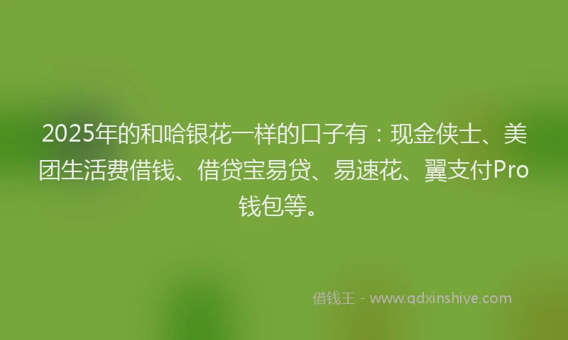 2025年的和哈银花一样的口子有：现金侠士、美团生活费借钱、借贷宝易贷、易速花、翼支付Pro钱包等。