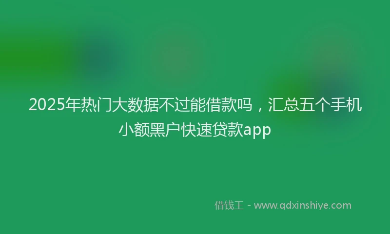 2025年热门大数据不过能借款吗，汇总五个手机小额黑户快速贷款app