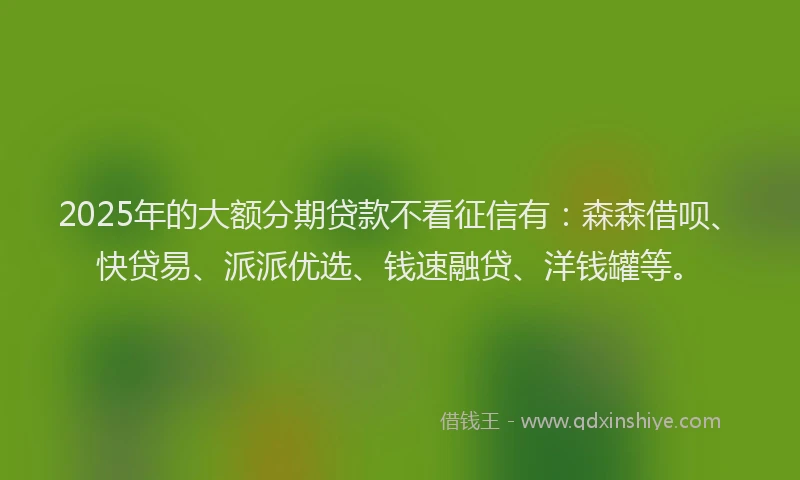 2025年的大额分期贷款不看征信有：森森借呗、快贷易、派派优选、钱速融贷、洋钱罐等。