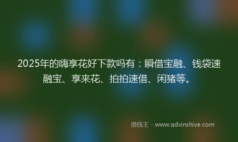 2025年的嗨享花好下款吗有：瞬借宝融、钱袋速融宝、享来花、拍拍速借、闲猪等。