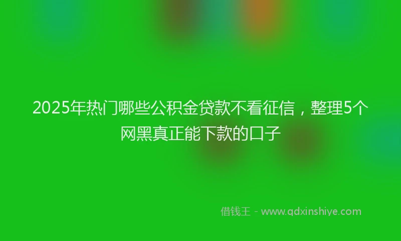 2025年热门哪些公积金贷款不看征信，整理5个网黑真正能下款的口子