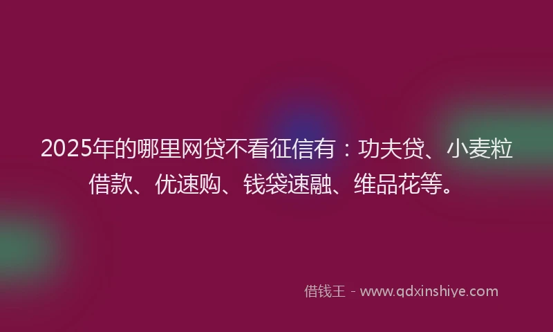2025年的哪里网贷不看征信有：功夫贷、小麦粒借款、优速购、钱袋速融、维品花等。