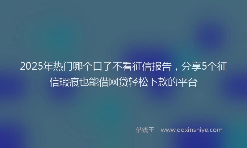 2025年热门哪个口子不看征信报告，分享5个征信瑕疵也能借网贷轻松下款的平台
