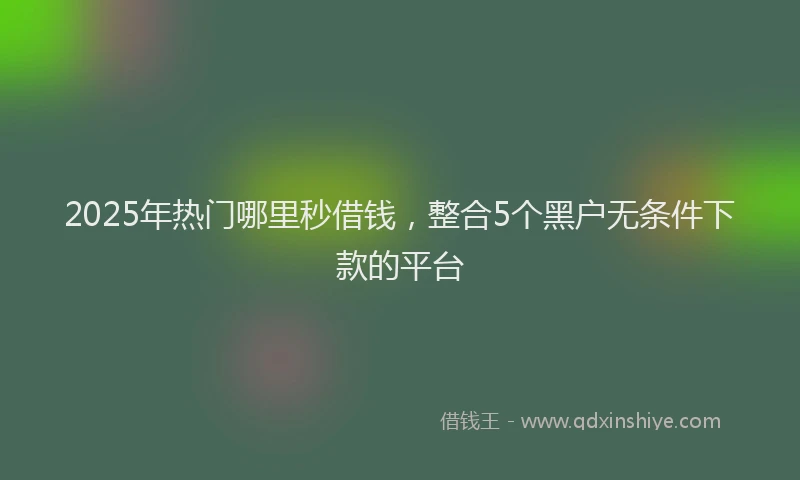 2025年热门哪里秒借钱，整合5个黑户无条件下款的平台