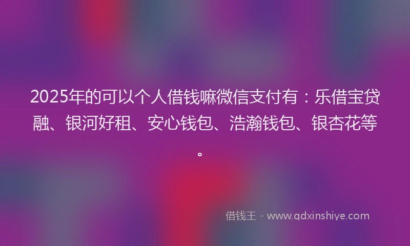 2025年的可以个人借钱嘛微信支付有：乐借宝贷融、银河好租、安心钱包、浩瀚钱包、银杏花等。