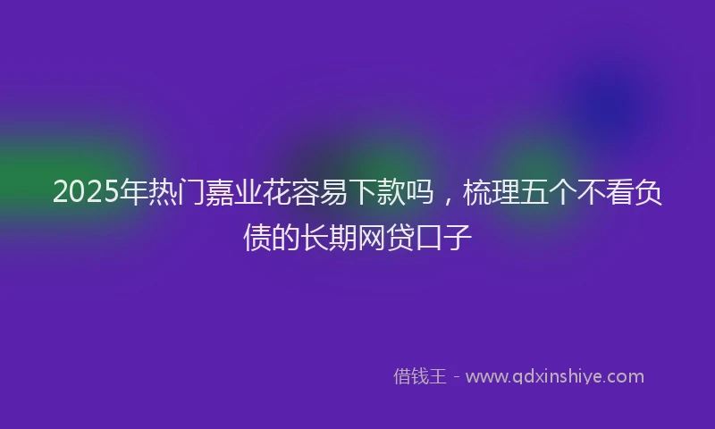 2025年热门嘉业花容易下款吗，梳理五个不看负债的长期网贷口子