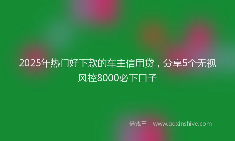 2025年热门好下款的车主信用贷，分享5个无视风控8000必下口子