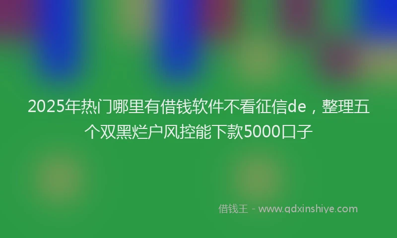 2025年热门哪里有借钱软件不看征信de，整理五个双黑烂户风控能下款5000口子