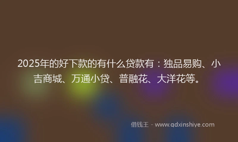 2025年的好下款的有什么贷款有：独品易购、小吉商城、万通小贷、普融花、大洋花等。
