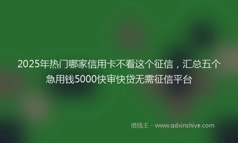 2025年热门哪家信用卡不看这个征信，汇总五个急用钱5000快审快贷无需征信平台
