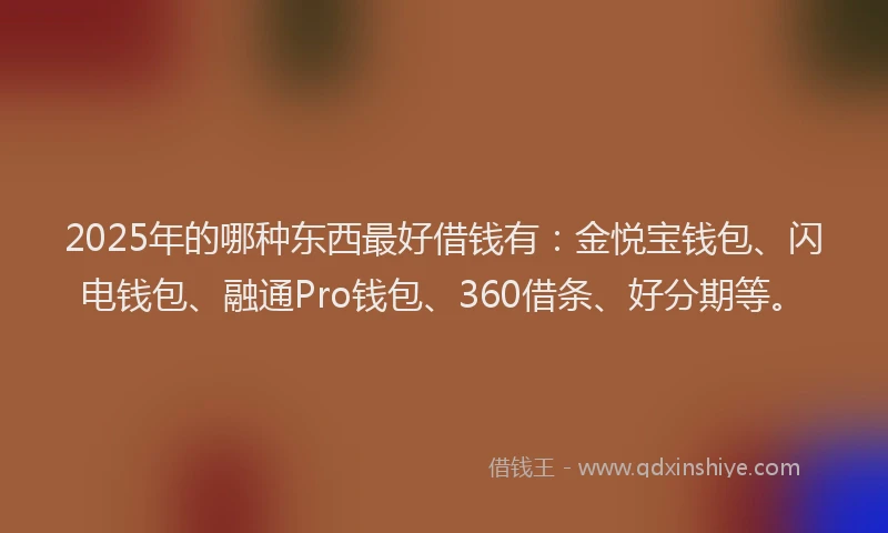 2025年的哪种东西最好借钱有：金悦宝钱包、闪电钱包、融通Pro钱包、360借条、好分期等。