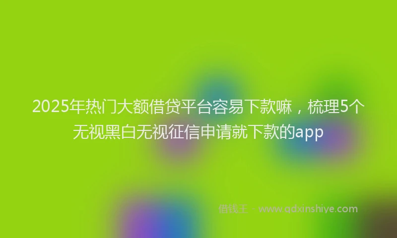 2025年热门大额借贷平台容易下款嘛，梳理5个无视黑白无视征信申请就下款的app