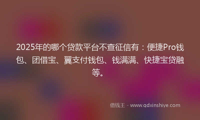 2025年的哪个贷款平台不查征信有：便捷Pro钱包、团借宝、翼支付钱包、钱满满、快捷宝贷融等。