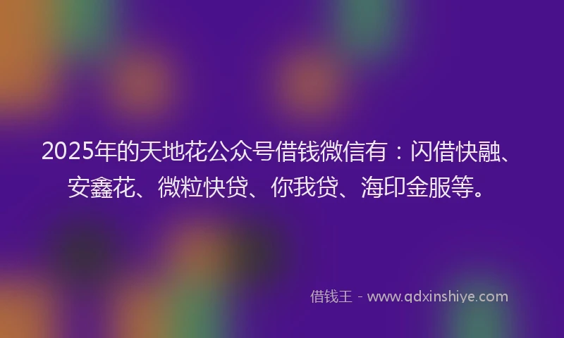 2025年的天地花公众号借钱微信有：闪借快融、安鑫花、微粒快贷、你我贷、海印金服等。