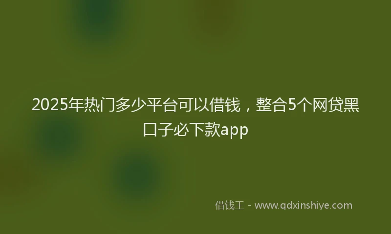 2025年热门多少平台可以借钱，整合5个网贷黑口子必下款app