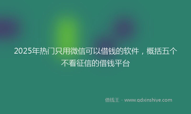 2025年热门只用微信可以借钱的软件，概括五个不看征信的借钱平台