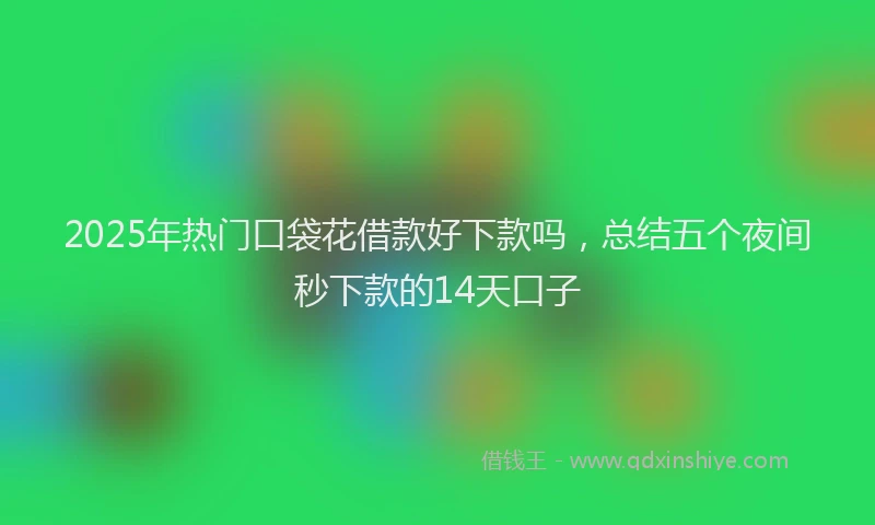 2025年热门口袋花借款好下款吗，总结五个夜间秒下款的14天口子