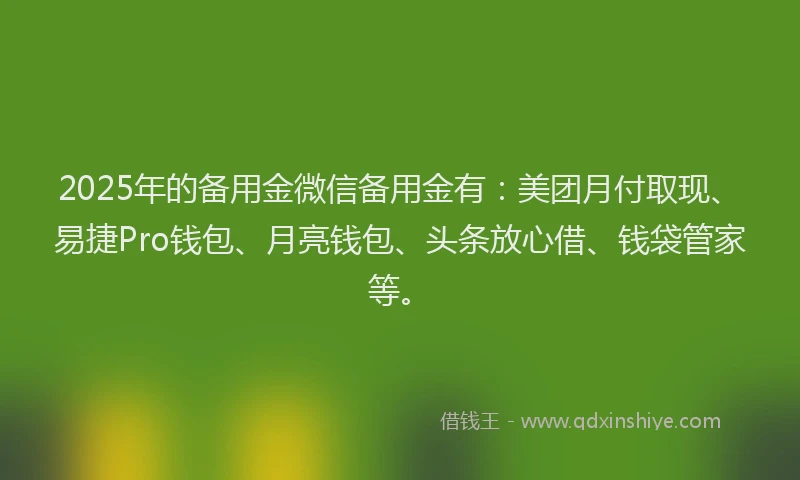 2025年的备用金微信备用金有：美团月付取现、易捷Pro钱包、月亮钱包、头条放心借、钱袋管家等。