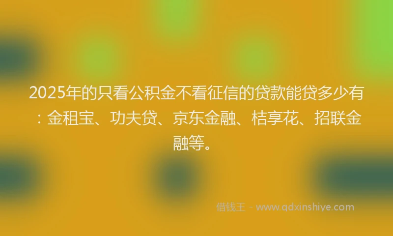 2025年的只看公积金不看征信的贷款能贷多少有：金租宝、功夫贷、京东金融、桔享花、招联金融等。