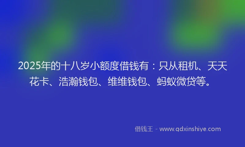 2025年的十八岁小额度借钱有：只从租机、天天花卡、浩瀚钱包、维维钱包、蚂蚁微贷等。