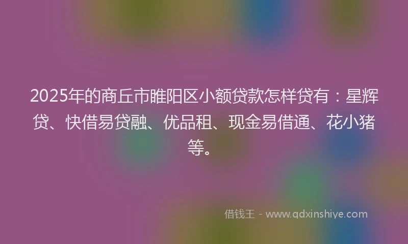 2025年的商丘市睢阳区小额贷款怎样贷有：星辉贷、快借易贷融、优品租、现金易借通、花小猪等。
