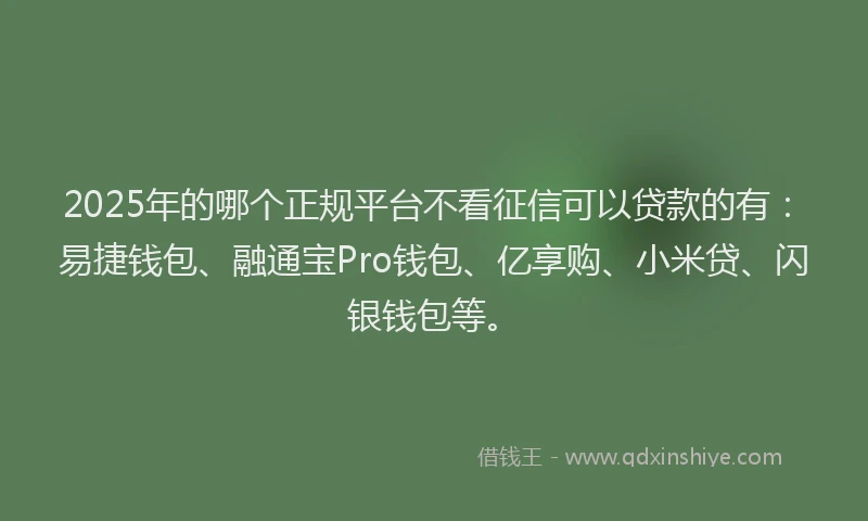 2025年的哪个正规平台不看征信可以贷款的有：易捷钱包、融通宝Pro钱包、亿享购、小米贷、闪银钱包等。