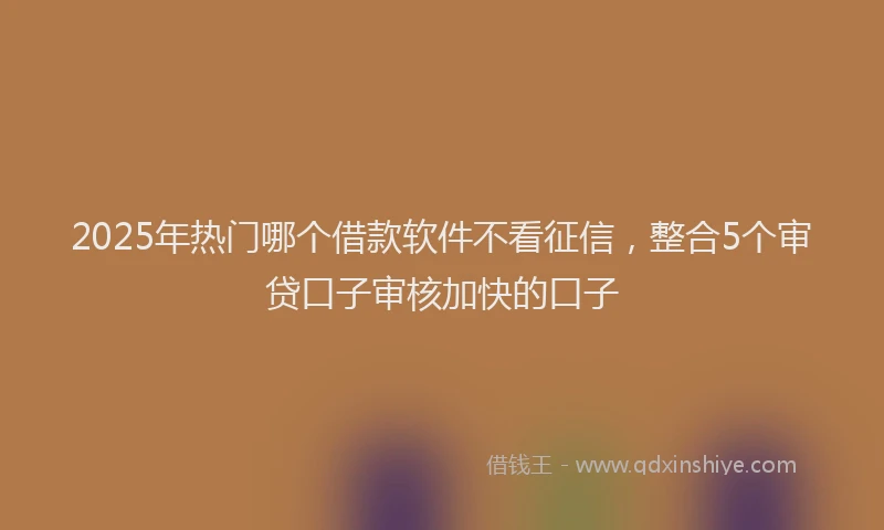 2025年热门哪个借款软件不看征信，整合5个审贷口子审核加快的口子