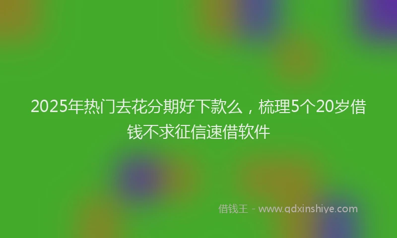 2025年热门去花分期好下款么，梳理5个20岁借钱不求征信速借软件