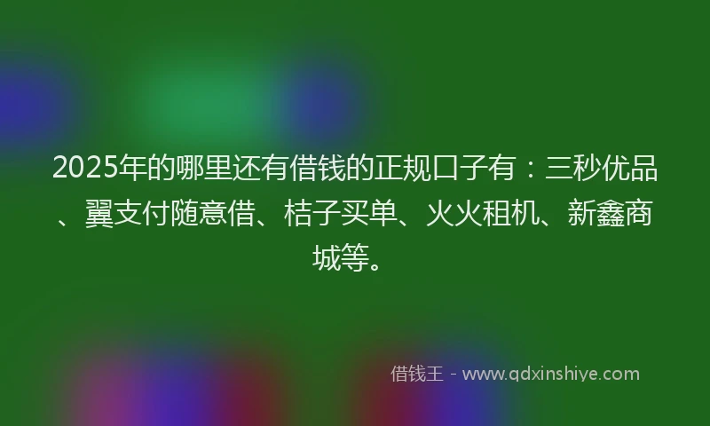 2025年的哪里还有借钱的正规口子有：三秒优品、翼支付随意借、桔子买单、火火租机、新鑫商城等。