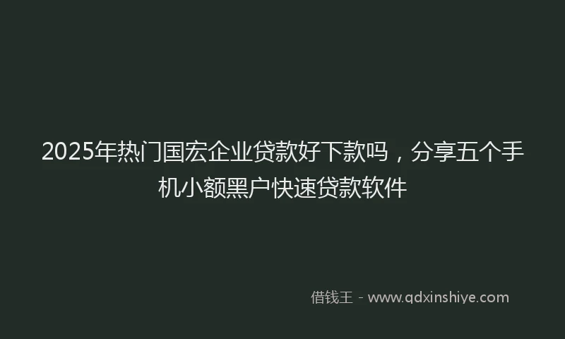 2025年热门国宏企业贷款好下款吗，分享五个手机小额黑户快速贷款软件