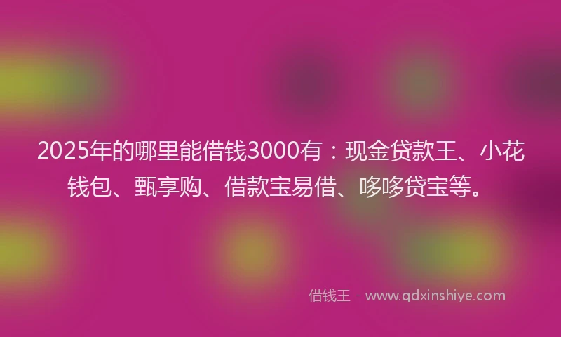 2025年的哪里能借钱3000有：现金贷款王、小花钱包、甄享购、借款宝易借、哆哆贷宝等。