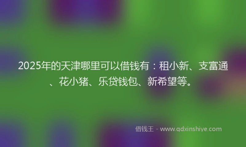 2025年的天津哪里可以借钱有：租小新、支富通、花小猪、乐贷钱包、新希望等。