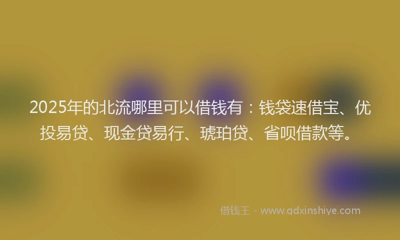 2025年的北流哪里可以借钱有：钱袋速借宝、优投易贷、现金贷易行、琥珀贷、省呗借款等。