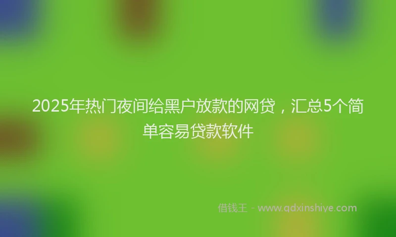 2025年热门夜间给黑户放款的网贷，汇总5个简单容易贷款软件