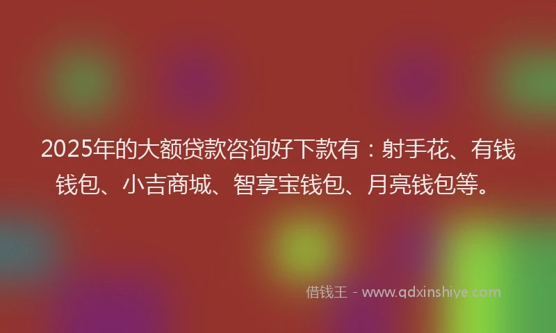 2025年的大额贷款咨询好下款有：射手花、有钱钱包、小吉商城、智享宝钱包、月亮钱包等。