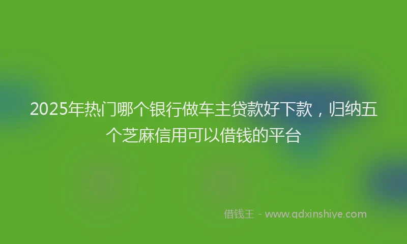 2025年热门哪个银行做车主贷款好下款，归纳五个芝麻信用可以借钱的平台