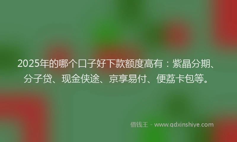 2025年的哪个口子好下款额度高有：紫晶分期、分子贷、现金侠途、京享易付、便荔卡包等。