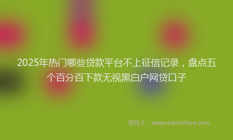 2025年热门哪些贷款平台不上征信记录，盘点五个百分百下款无视黑白户网贷口子