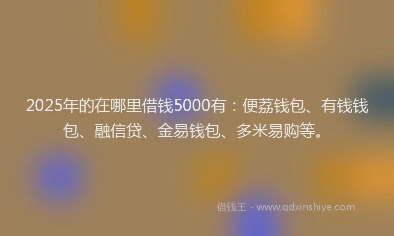 2025年的在哪里借钱5000有：便荔钱包、有钱钱包、融信贷、金易钱包、多米易购等。